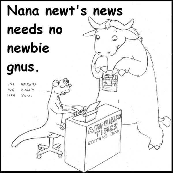 Nana newt